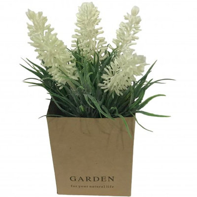 Arrangement floral lavande en pot