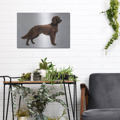 «Irish Setters» par Harro Maass