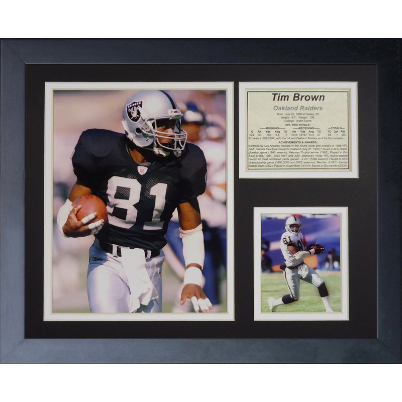 NFL 349 - Pieces Modern & Contemporary