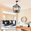 4 - Luminaire noir, lanterne de style industriel avec cage ouverte, base E12, hauteur réglable pour prise de plafond rustique, salle à manger suspendue