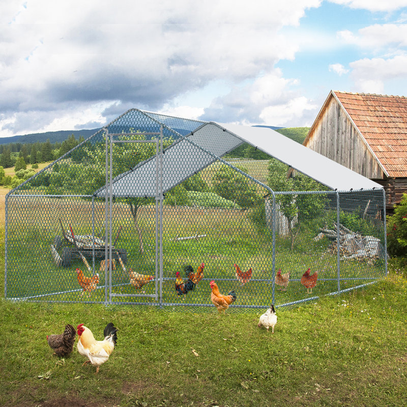 Emmeric Walk In Chicken Run, H 78 po x l 157 po x P 117 po, Argent