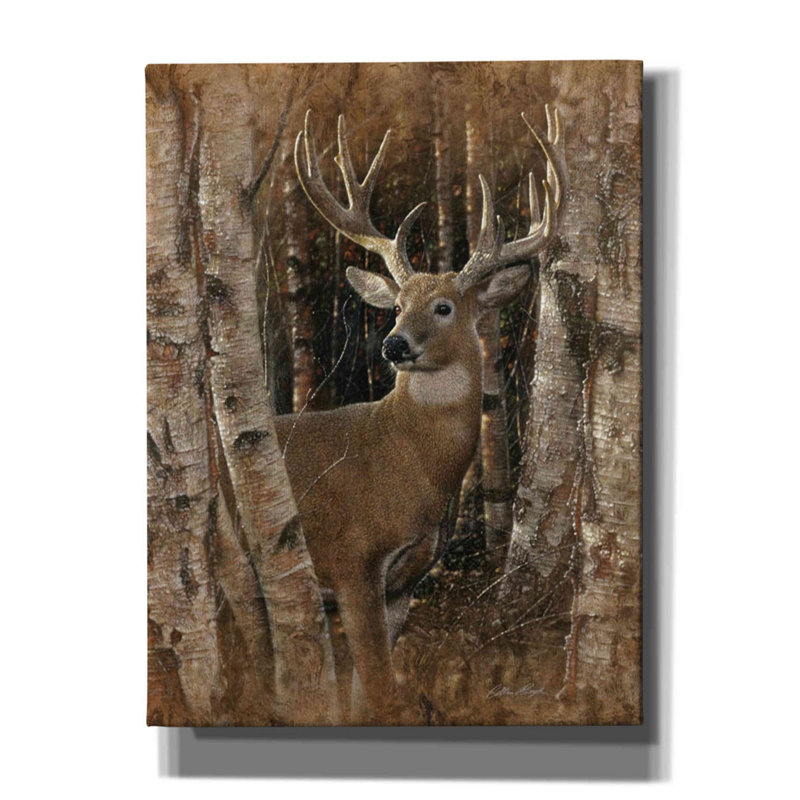 «Millwood Pines» «Birchwood Buck» par Collin Bogle, art mural sur toile, H 16 po x l 12 po x P 0,75 po