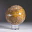 Genuine Polished Ocean Jasper Sphere (3.2 Lbs)