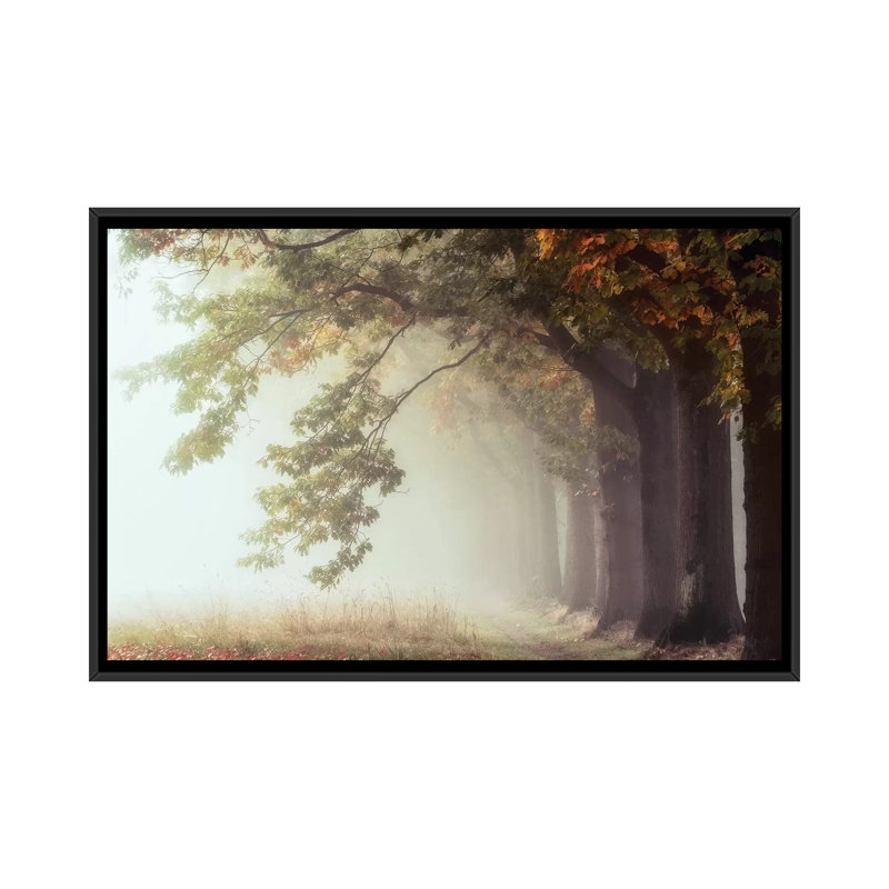 « dawnscratchers », reproduction de photo sur toile, H 18 po x l 26 po x P 1,5 po, Toile avec cadre noir, Pas de tapis