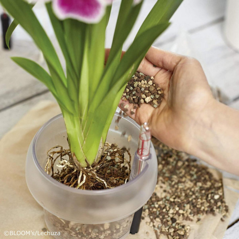 Plant Substrate, 29cm H x 19.5cm W x 9.5cm D
