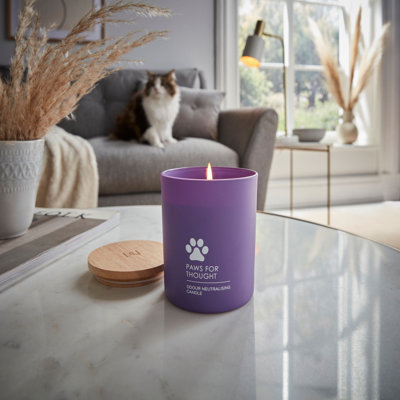 Bougie cire lyrique Home Scenter mat avec pattes de réflexion