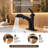 Single-Handle Bathroom Faucet with 20" Pull-Out Sprayer with 2 Spray Settings-134912247