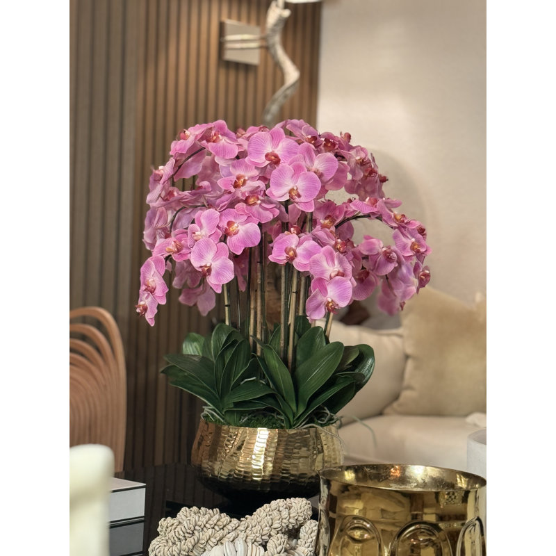 Roberi Orchid Arrangement in Planter, 28" H x 18" W x 18" D