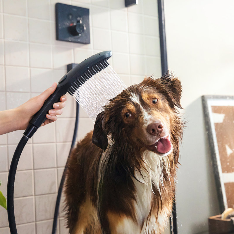 Hansgrohe Dog Shower, 3-Spray, 1.75 GPM, Matte Black