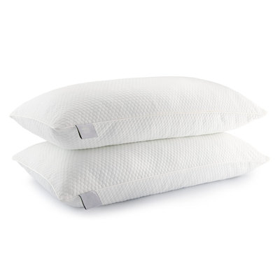 Rosamay L90 x W50cm Support Pillow