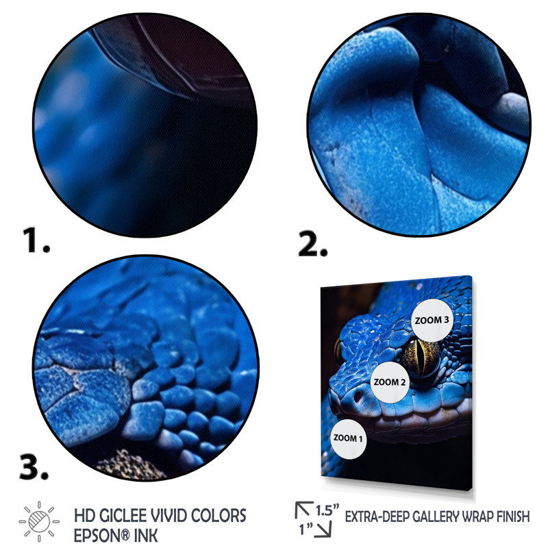 Portrait d'un serpent vipère bleu, faune I sur toile, Cadre flottant doré, H 44 po x l 34 po x P 1,5 po