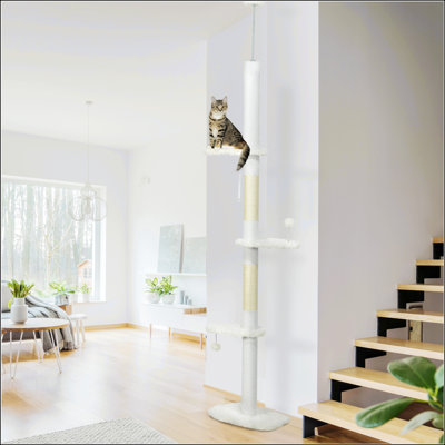 Arbre à chat du sol au plafond avec poteaux à griffer