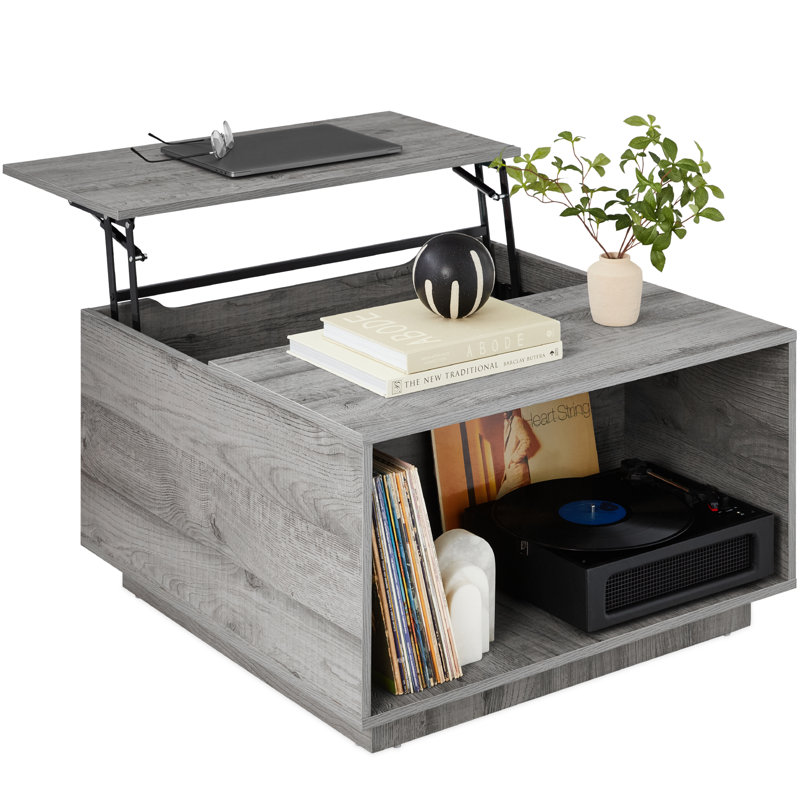 Chrishonda Coffee Table, Gray