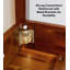 Aiydan Solid Wood End Table with Storage-2119796059