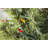 50.5' 100-Light String Lights-31889554
