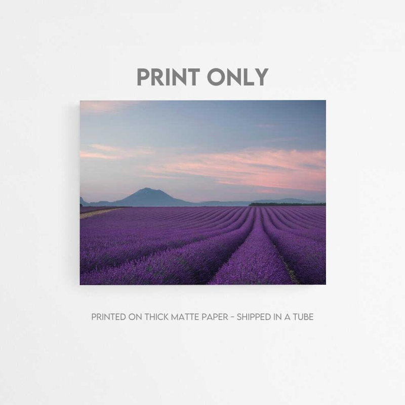 «Lavender Field Print»: aquarelle éclatante sur papier, Framed Print with Mat, Brown, H 18 po x l 24 po