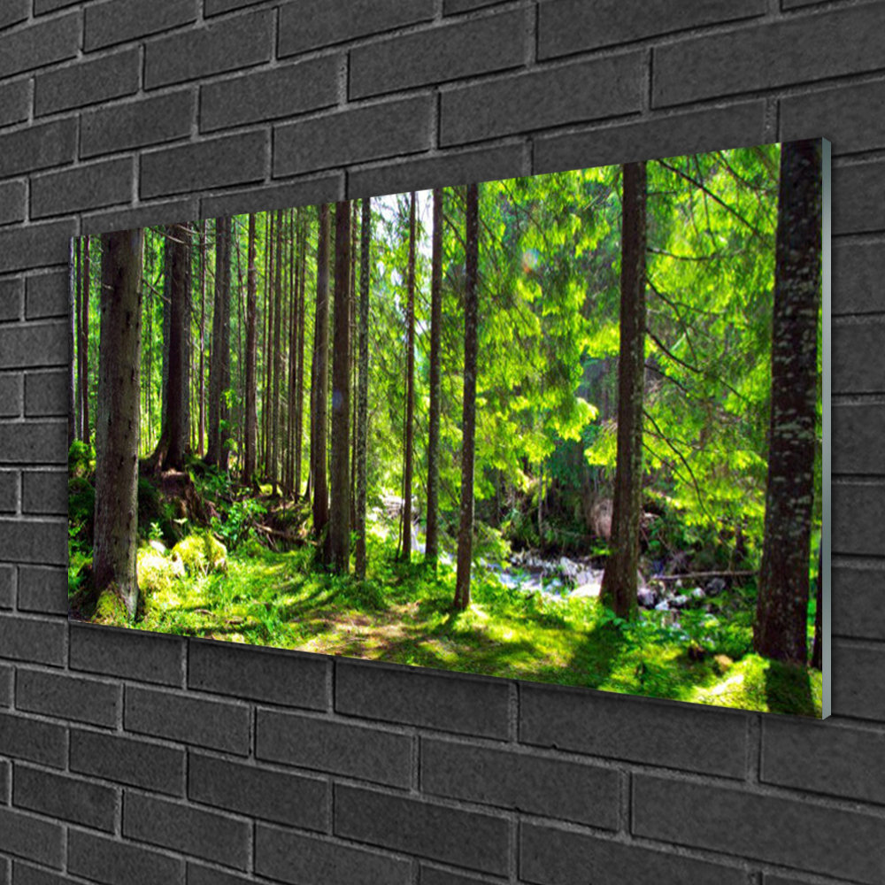 Glasbild Forest Nature