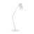 Blanc est en rupture de stock