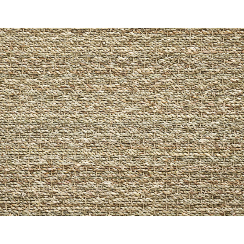 Wininger Indoor / Outdoor Rug, Rectangle 3'4" x 5'