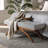 Anup Railee Bench-66029780