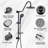 Rain Adjustable Shower Head 2.5 GPM GPM-64468037