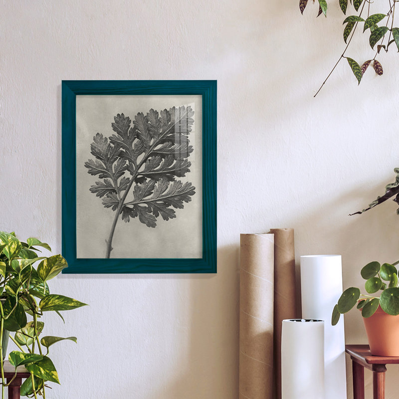 Blossfeldt Botanical III, reproduction d'art encadrée, H 11 po x l 9 po x P 1 po, Bleu