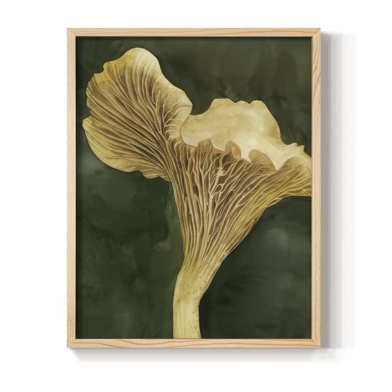 «Chanterella II», Naturel, H 15 po x l 12 po