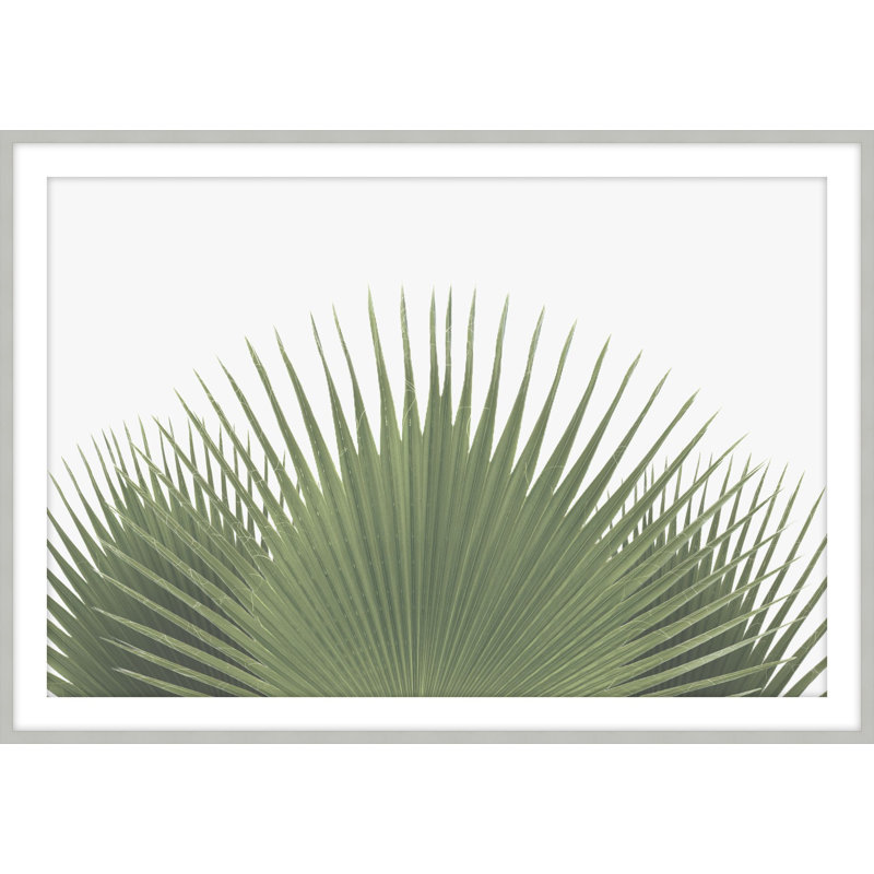 «Tropical Leaves 2», reproduction d'art encadrée, H 22,5 po x l 31,5 po