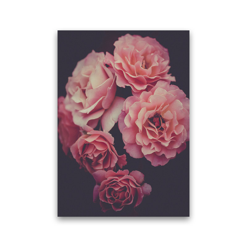 Dreamy Roses - No Frame Print, No Framed, 59cm H x 42cm W x 1cm D