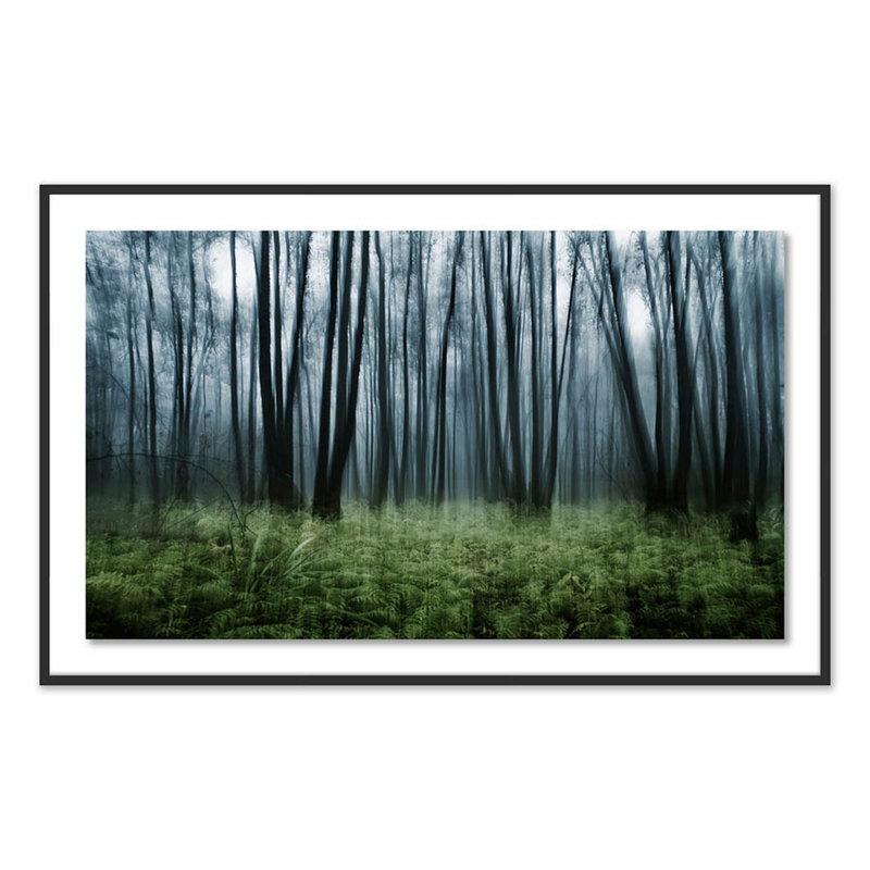Eerie Trees IV Print by Jakob Wagner, 38" H x 60" W x 2.5" D, Black