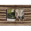 One-of-a-Kind 5'8x11'0 Area Rug