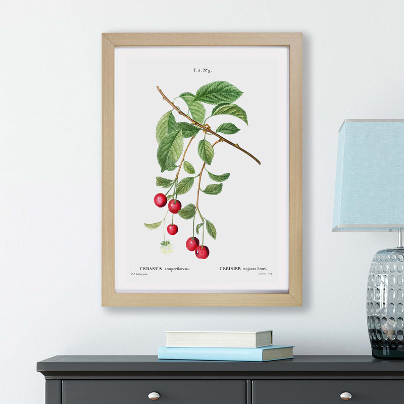 Cherry Tree Branch by Pierre-Joseph Redoute - Framed Print, 24cm H x 33cm W x 2cm D, Oak