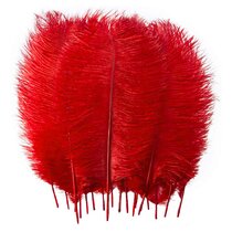 OSTRICH WING FEATHERS, OSTRICH PLUMES