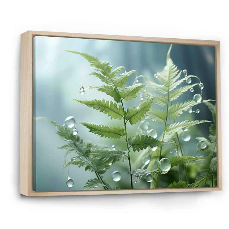 Ferns Plant Ethereal Whispers I - impression, H 16 po x l 32 po, Cadre naturel flottant