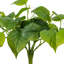  14" Green Artificial Pothos Bush, 2 Per Bag