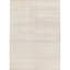 Area Rug in Beige