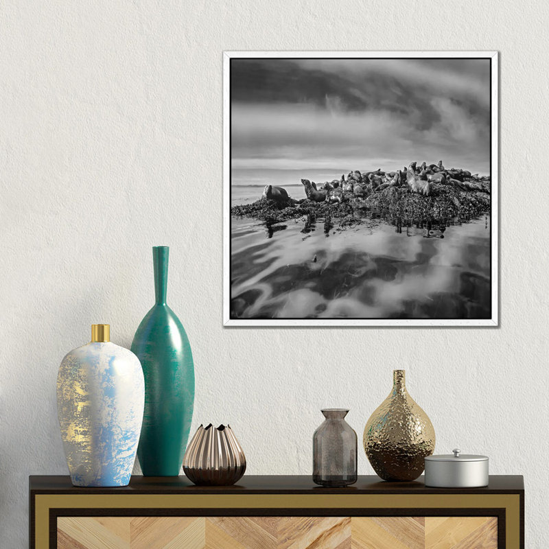 Steller's Sea Lions, Alaska by Tim Fitzharris - Gallery-Wrapped Canvas Giclée on Canvas, 66.04 cm H x 66.04 cm W