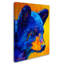 « black bear cub 2 », reproduction sur toile tendue-21935792