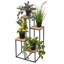 Aireyana Plant Stand