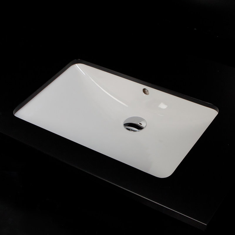 Piazza 23.62'' L Bathroom Sink
