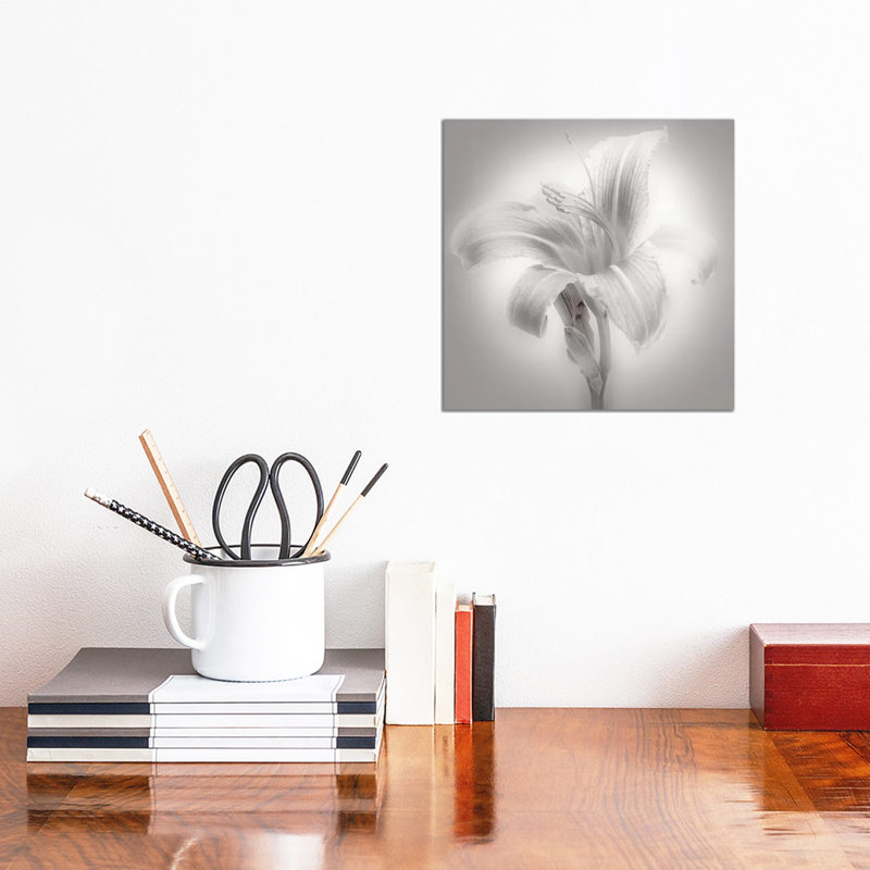 Tiger Lily II by James McLoughlin - Wrapped Canvas Print, 30.48 cm H x 30.48 cm W