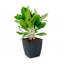 Paquet de 2 pots de fleurs à arrosage automatique-674024638