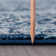 Teshawna Performance Blue Medallion Rug