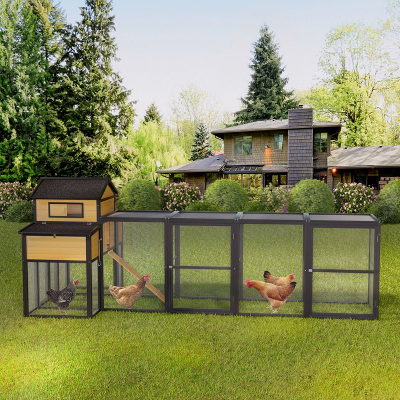 Grand poulailler en bois noir de 150 po avec poulailler et nichoirs, plateau coulissant, porte coulissante, grillage antidérapant pour 4 à 6 poules