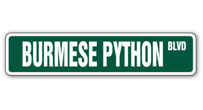 Plaque de rue birmane en python robuste en plastique 4 po x 18 po