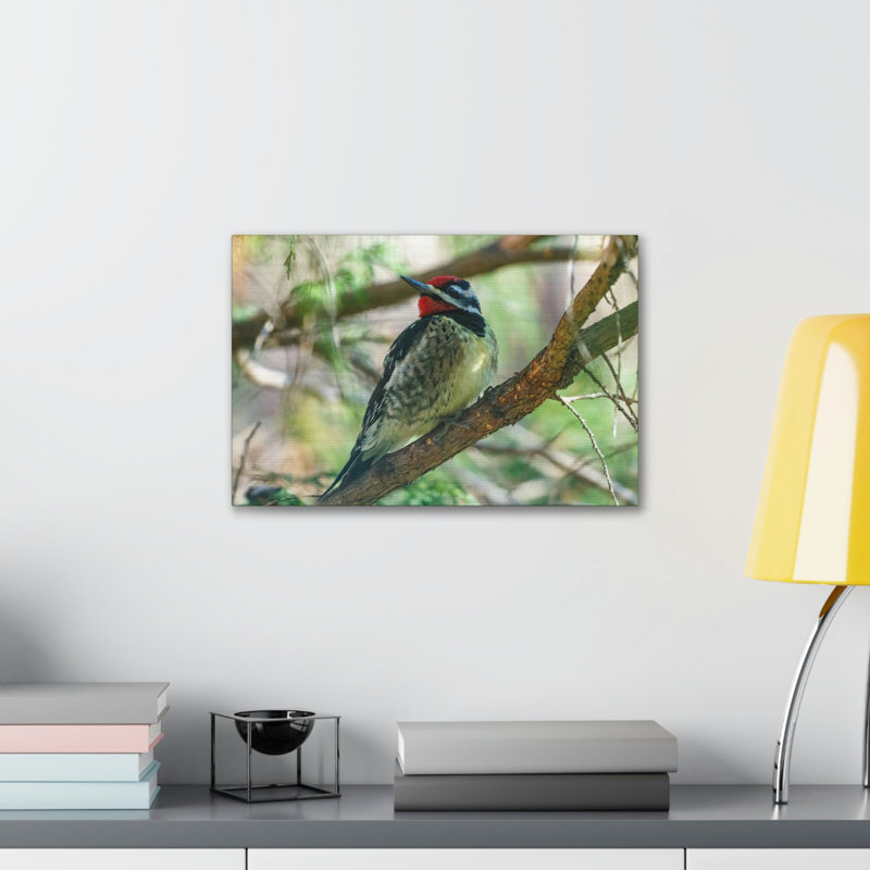 No Frame Print on Canvas, 30.48cm H x 40.64cm W
