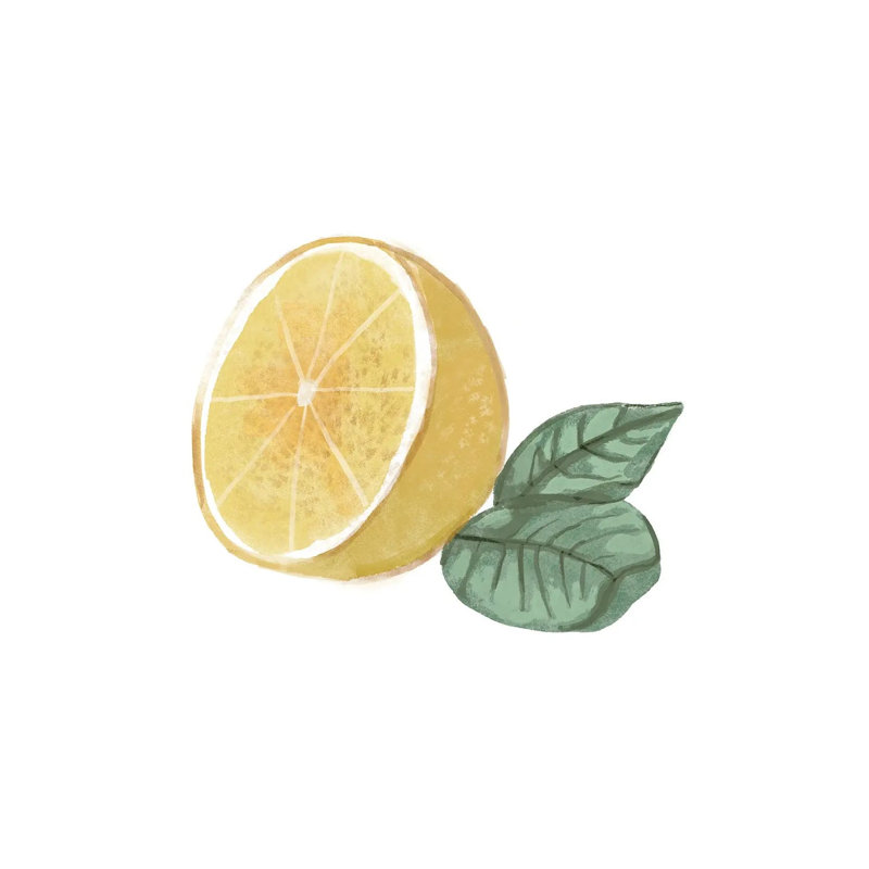 Citrus Limon IV by Bannarot - Wrapped Canvas Gallery-Wrapped Canvas Giclée, 45.72 cm H x 45.72 cm W x 1.91 cm D