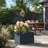 Lapria Handmade Planter Box-1647813146-1647813145