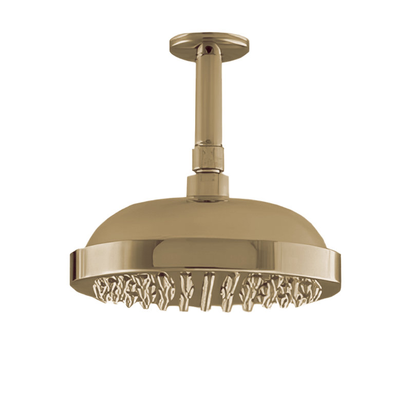 Tête de douche de plafond 8 po avec accoudoir de 4 po et écusson, Laiton brut non laqué