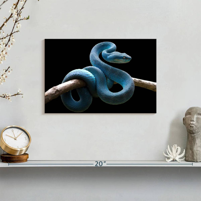 Brampt Blue Viper Snake, 8" H x 12" W